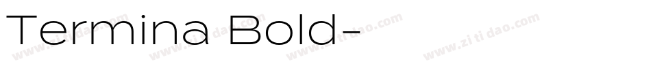 Termina Bold字体转换